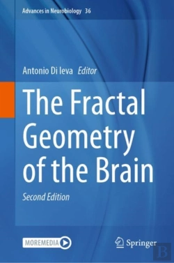 Bertrand.pt - Fractal Geometry Of The Brain