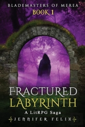 Fractured Labyrinth