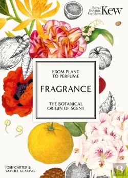 Bertrand.pt - Fragrance