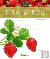 Fraisiers