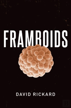 Bertrand.pt - Framboids