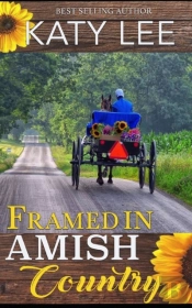 Framed In Amish Country