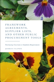 Framework Agreements, Supplier Lists, And Other Public Procurement Tools