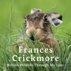 Bertrand.pt - Frances Crickmore - British Wildlife Through My Lens