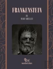Frankenstein By Mary Shelley