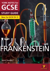 Frankenstein York Notes For Gcse (Ebook) - For 2026, 2027 Exams
