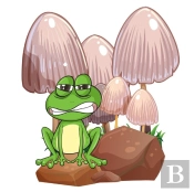 Frankie The Frog, Frankie Never Gives Up