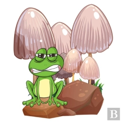 Bertrand.pt - Frankie The Frog, Frankie Never Gives Up