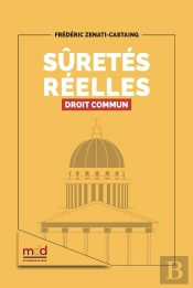 Frédéric Zenati-Castaing, Sûretés Réelles, Droit Commun