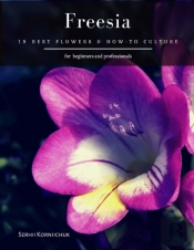 Freesia