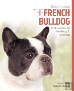 Bertrand.pt - French Bulldog