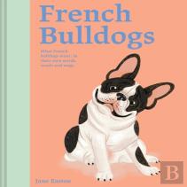 French Bulldogs