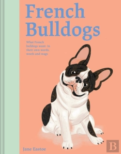 Bertrand.pt - French Bulldogs