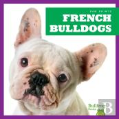 French Bulldogs