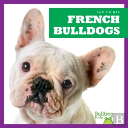 Bertrand.pt - French Bulldogs