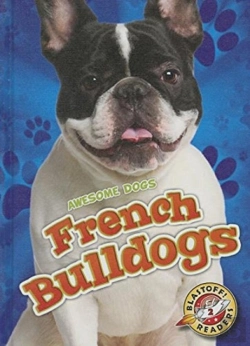 Bertrand.pt - French Bulldogs