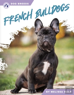 Bertrand.pt - French Bulldogs