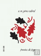 Frentes de Fogo