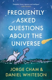 Frequently Asked Questions About The Universe
