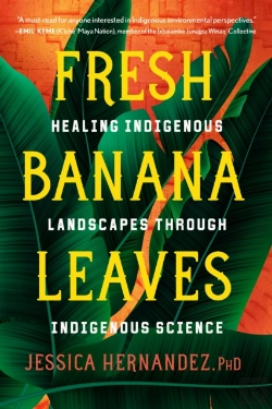 Bertrand.pt - Fresh Banana Leaves
