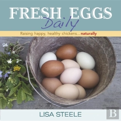 Bertrand.pt - Fresh Eggs Daily