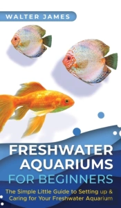 Freshwater Aquariums For Beginners