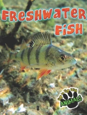 Freshwater Fish