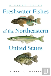 Freshwater Fishes Of The Northeastern United States