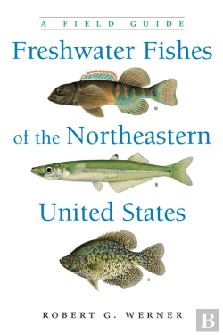 Bertrand.pt - Freshwater Fishes Of The Northeastern United States