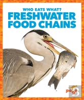 Freshwater Food Chains