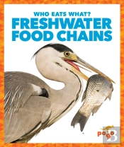 Freshwater Food Chains