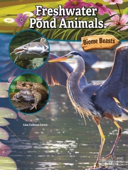 Bertrand.pt - Freshwater Pond Animals