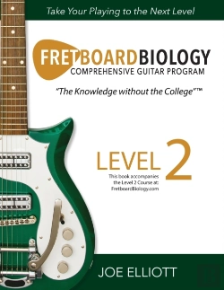 Bertrand.pt - Fretboard Biology - Level 2