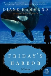 Friday'S Harbor