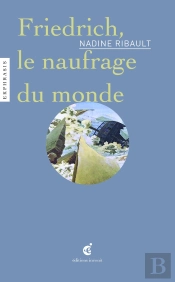 Friedrich, Le Naufrage Du Monde