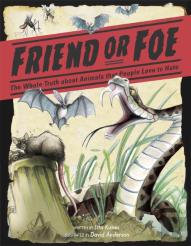Friend Or Foe