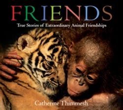 Bertrand.pt - Friends Board Book