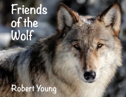 Bertrand.pt - Friends Of The Wolf
