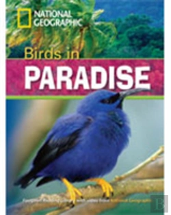Bertrand.pt - Frl Level 1300 Birds In Parad With Multi