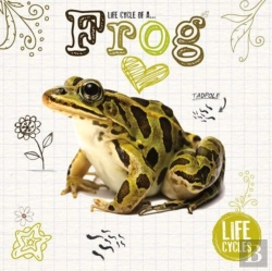 Bertrand.pt - Frog