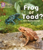 Frog Or Toad?