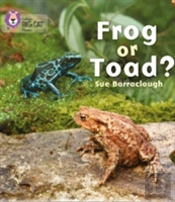 Frog Or Toad?