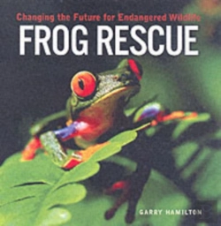 Bertrand.pt - Frog Rescue