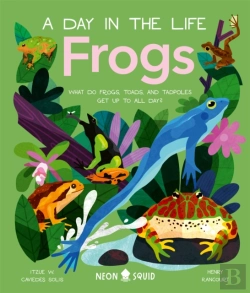 Bertrand.pt - Frogs (A Day In The Life)