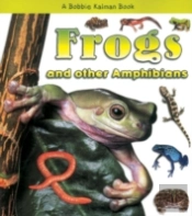 Frogs And Other Amphibians