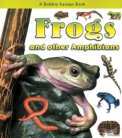 Bertrand.pt - Frogs And Other Amphibians