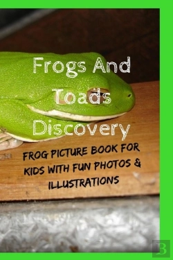 Bertrand.pt - Frogs And Toads Discovery