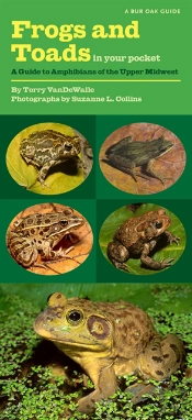 Frogs And Toads In Your Pocket