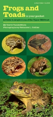 Frogs And Toads In Your Pocket
