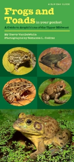 Bertrand.pt - Frogs And Toads In Your Pocket